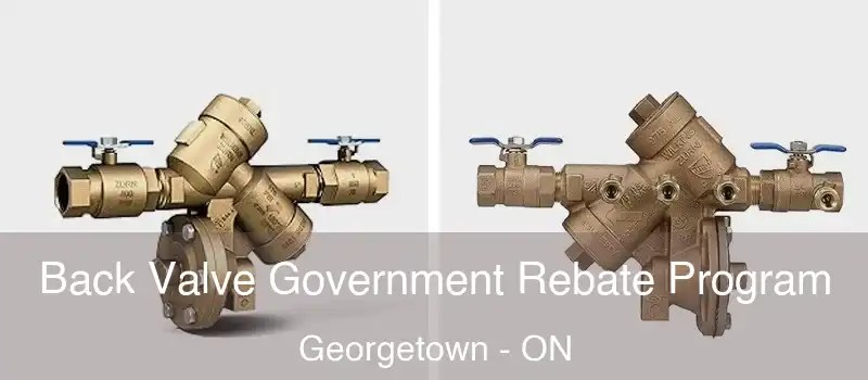 Back Valve Government Rebate Program Georgetown - ON