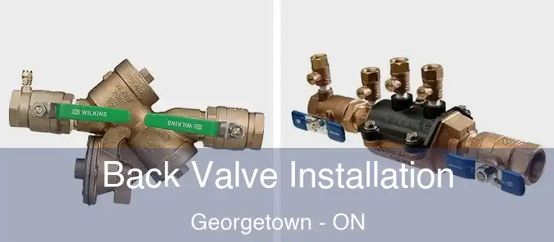 Back Valve Installation Georgetown - ON