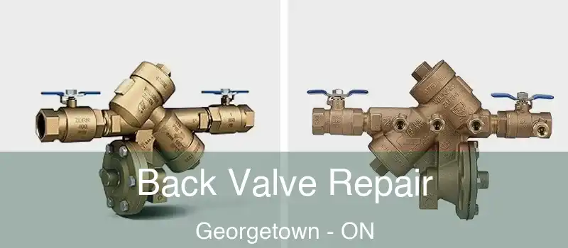 Back Valve Repair Georgetown - ON