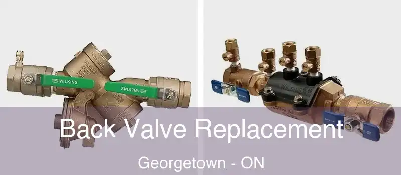 Back Valve Replacement Georgetown - ON