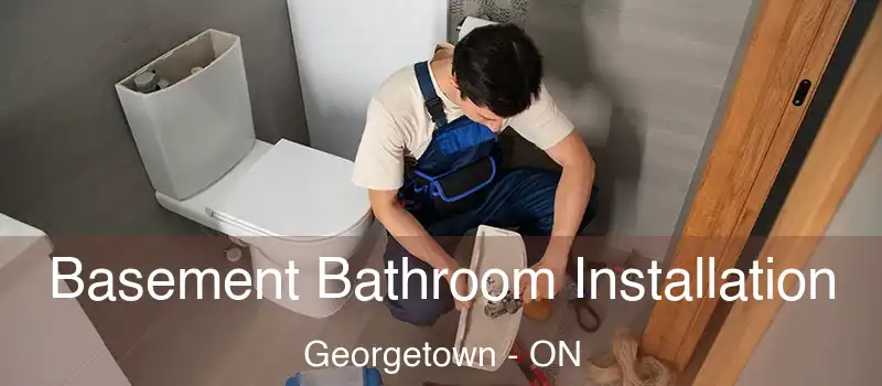 Basement Bathroom Installation Georgetown - ON