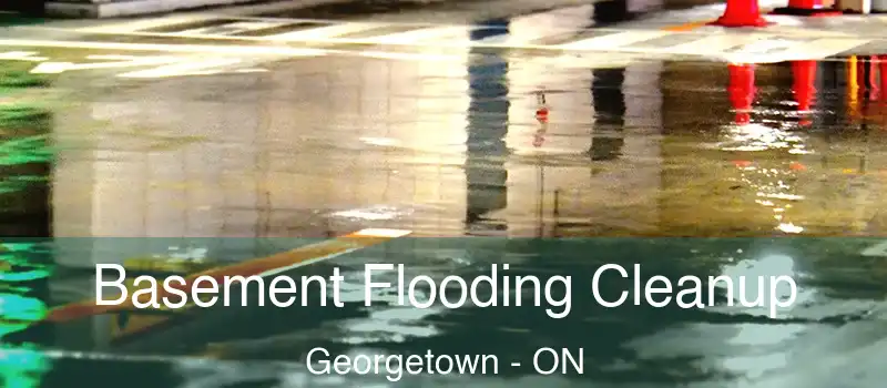 Basement Flooding Cleanup Georgetown - ON