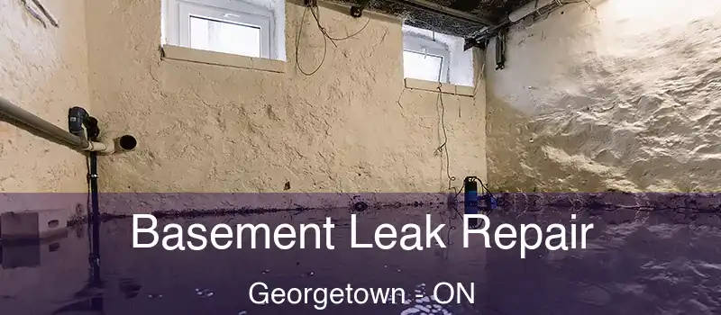  Basement Leak Repair Georgetown - ON