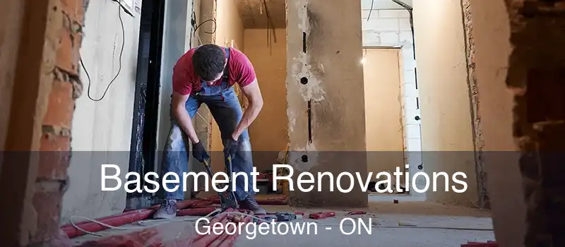 Basement Renovations Georgetown - ON