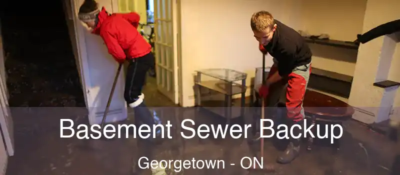 Basement Sewer Backup Georgetown - ON