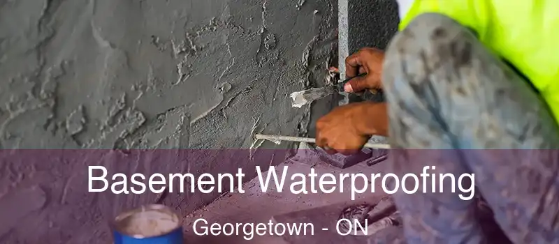 Basement Waterproofing Georgetown - ON