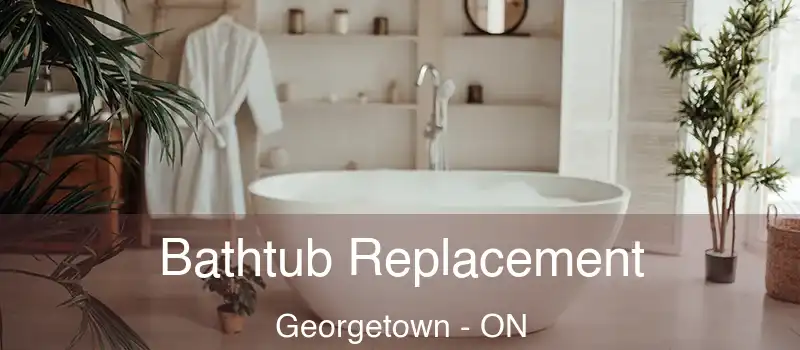 Bathtub Replacement Georgetown - ON