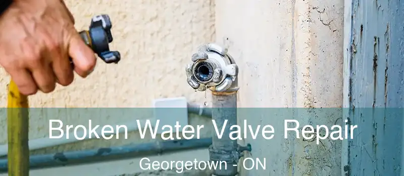 Broken Water Valve Repair Georgetown - ON
