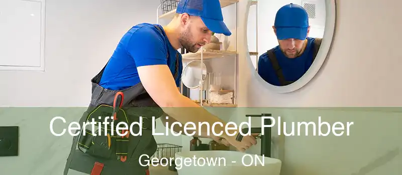 Certified Licenced Plumber Georgetown - ON