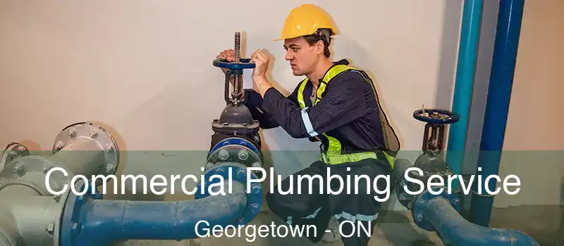 Commercial Plumbing Service Georgetown - ON