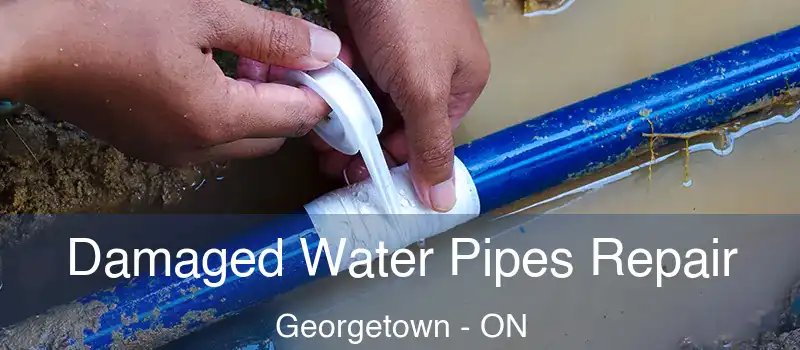 Damaged Water Pipes Repair Georgetown - ON