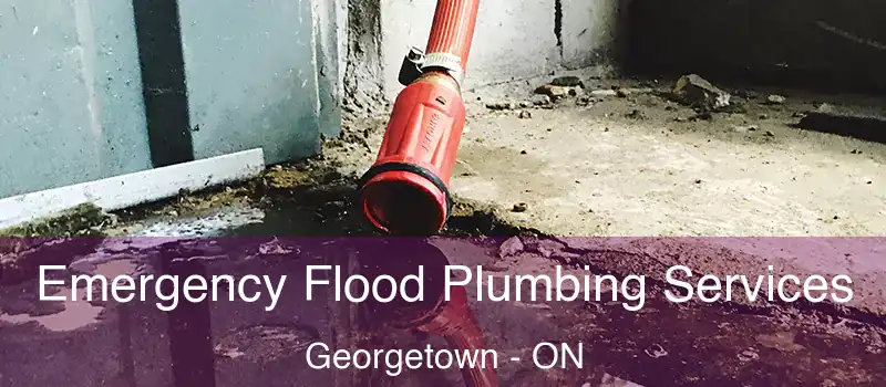 Emergency Flood Plumbing Services Georgetown - ON