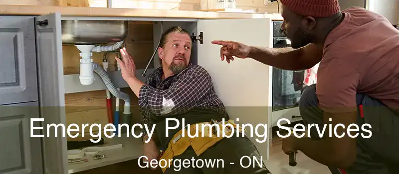 Emergency Plumbing Services Georgetown - ON