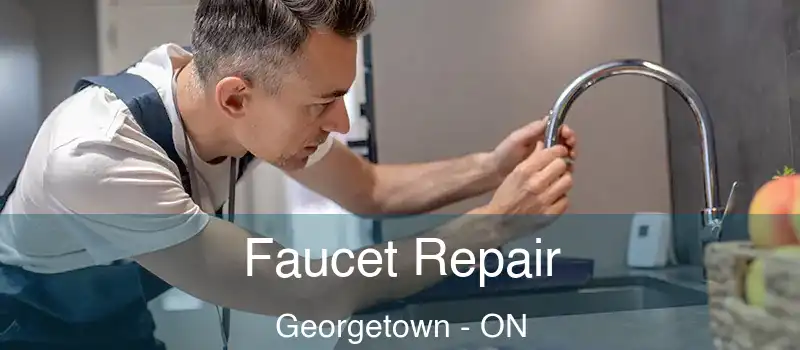 Faucet Repair Georgetown - ON
