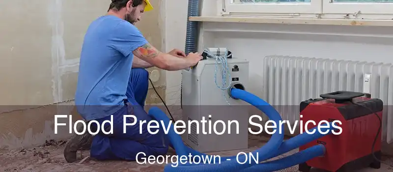 Flood Prevention Services Georgetown - ON