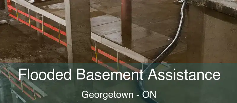 Flooded Basement Assistance Georgetown - ON