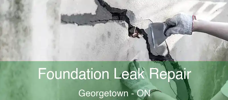 Foundation Leak Repair Georgetown - ON