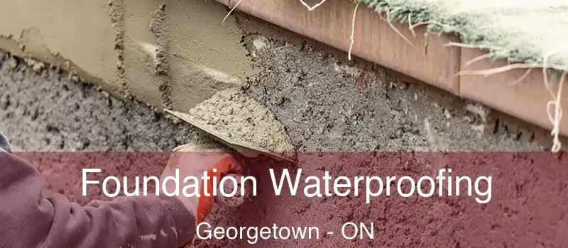 Foundation Waterproofing Georgetown - ON