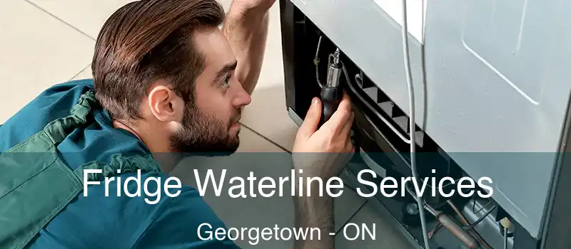  Fridge Waterline Services Georgetown - ON