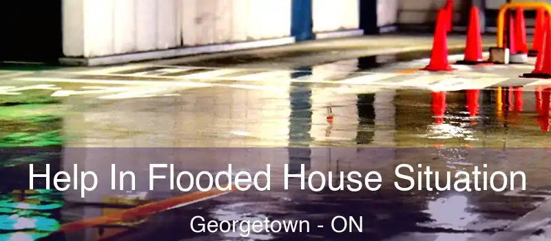 Help In Flooded House Situation Georgetown - ON