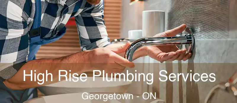 High Rise Plumbing Services Georgetown - ON
