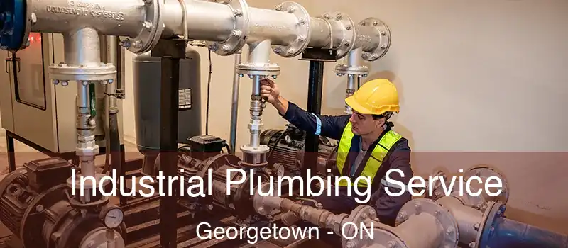 Industrial Plumbing Service Georgetown - ON