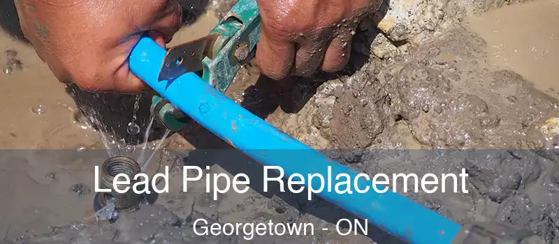 Lead Pipe Replacement Georgetown - ON