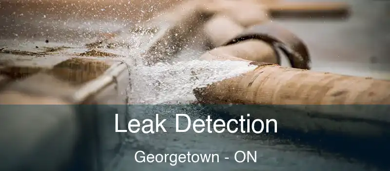  Leak Detection Georgetown - ON