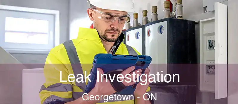 Leak Investigation Georgetown - ON