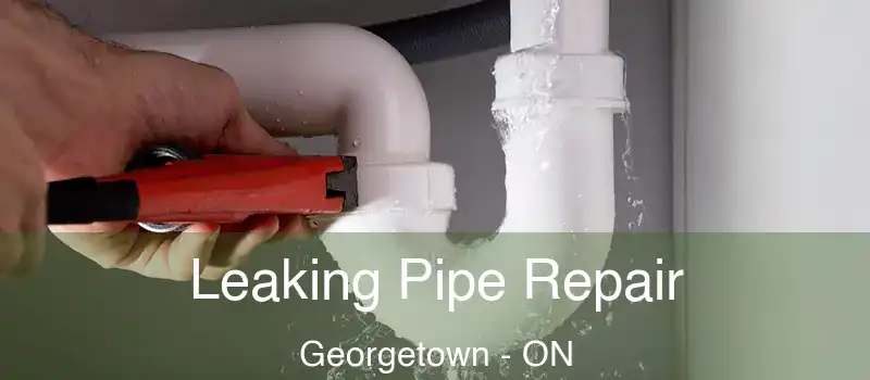 Leaking Pipe Repair Georgetown - ON