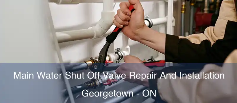Main Water Shut Off Valve Repair And Installation Georgetown - ON