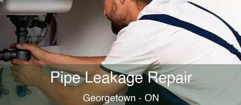 Pipe Leakage Repair Georgetown - ON