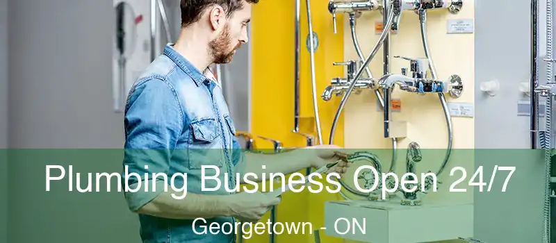 Plumbing Business Open 24/7 Georgetown - ON