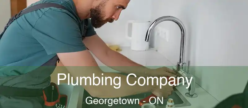  Plumbing Company Georgetown - ON
