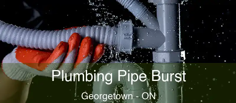  Plumbing Pipe Burst Georgetown - ON