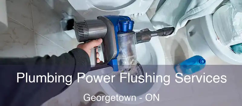  Plumbing Power Flushing Services Georgetown - ON