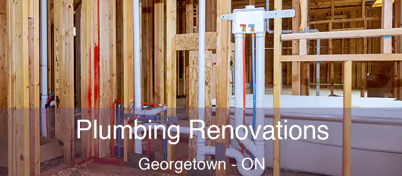 Plumbing Renovations Georgetown - ON