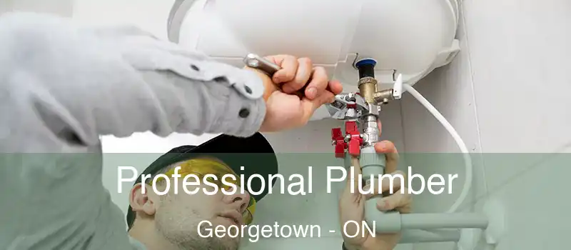 Professional Plumber Georgetown - ON