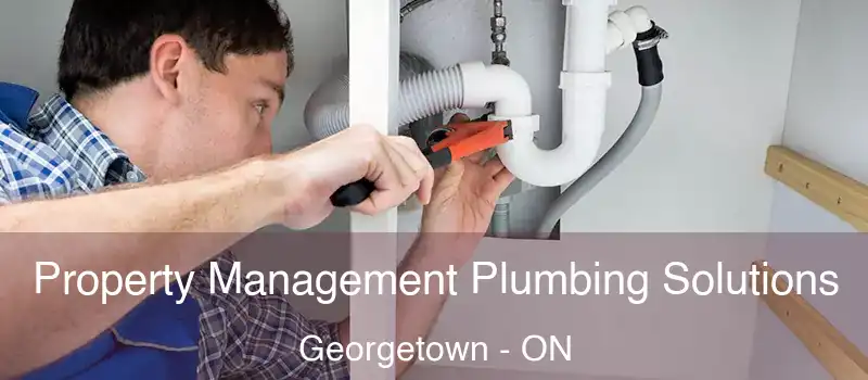 Property Management Plumbing Solutions Georgetown - ON