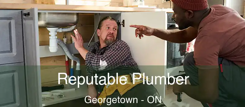 Reputable Plumber Georgetown - ON