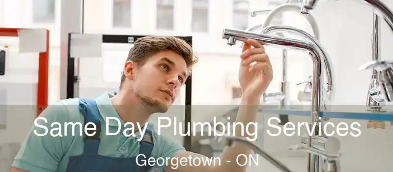 Same Day Plumbing Services Georgetown - ON