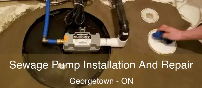 Sewage Pump Installation And Repair Georgetown - ON