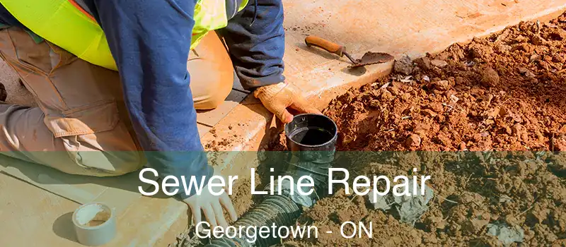 Sewer Line Repair Georgetown - ON