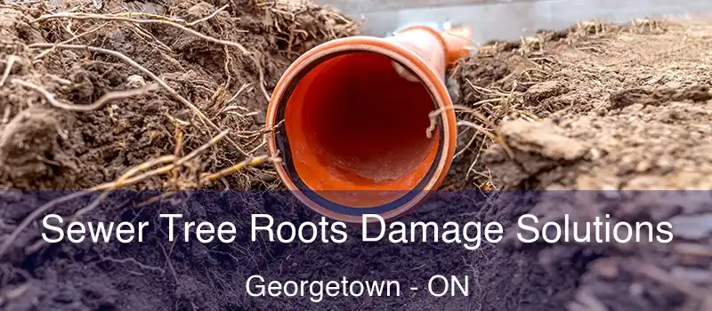 Sewer Tree Roots Damage Solutions Georgetown - ON