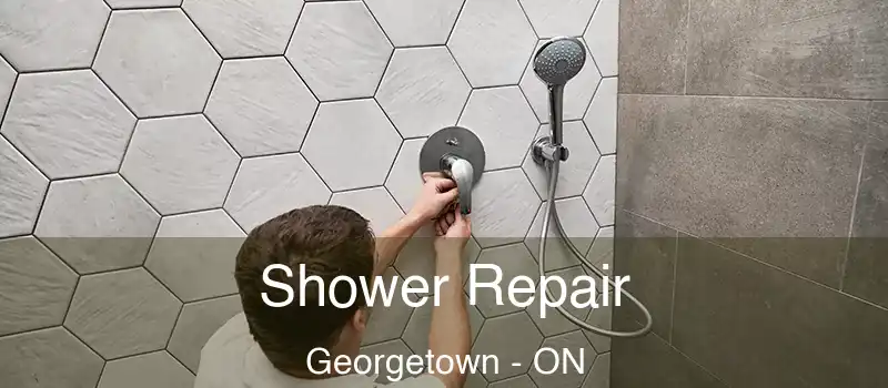 Shower Repair Georgetown - ON