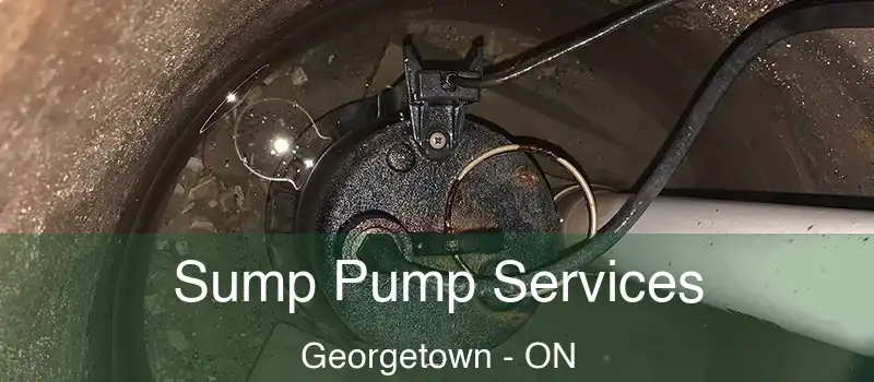 Sump Pump Services Georgetown - ON
