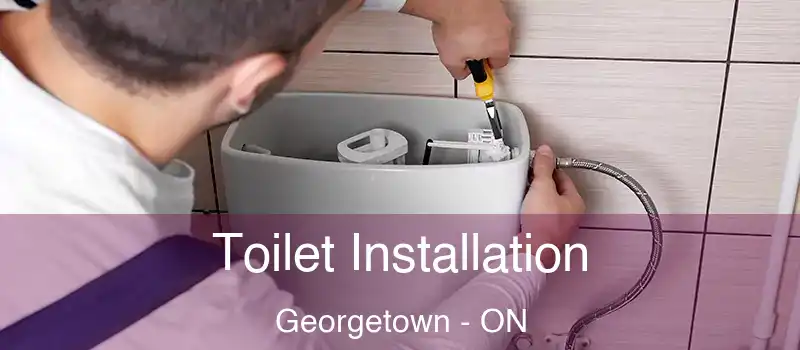 Toilet Installation Georgetown - ON