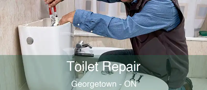 Toilet Repair Georgetown - ON