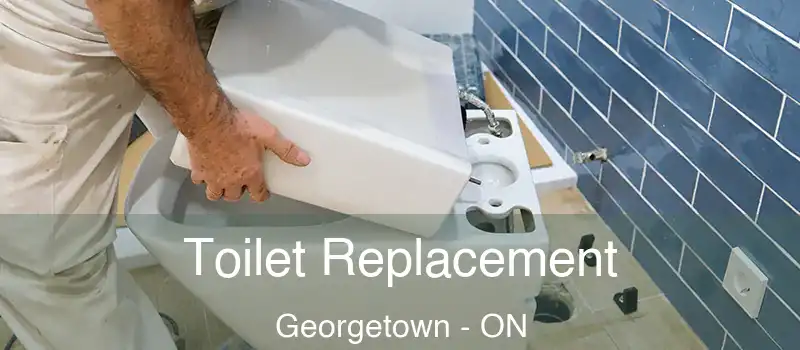  Toilet Replacement Georgetown - ON