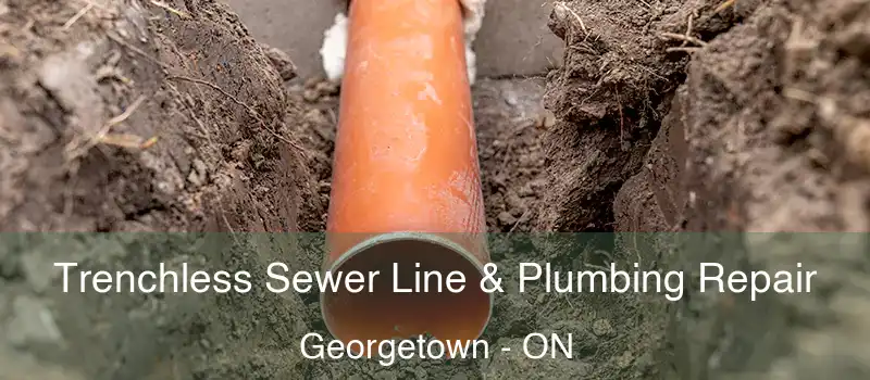 Trenchless Sewer Line & Plumbing Repair Georgetown - ON